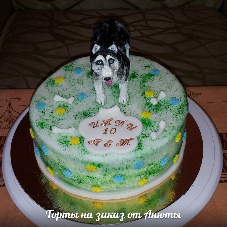 Торт для верного друга человека.
