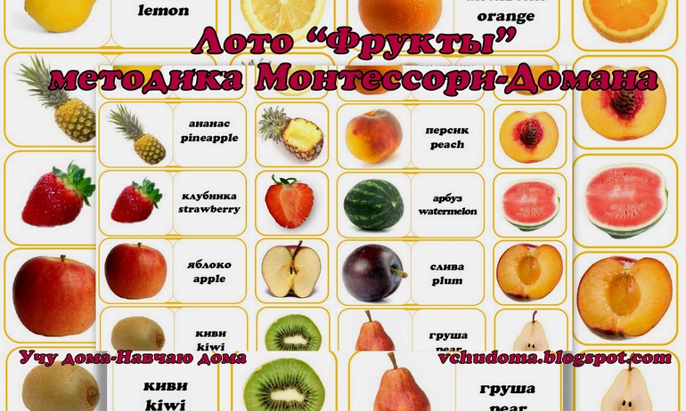 Лото "Фрукты" методика Монтессори и Домана