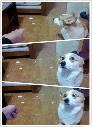 Позитивчик:)