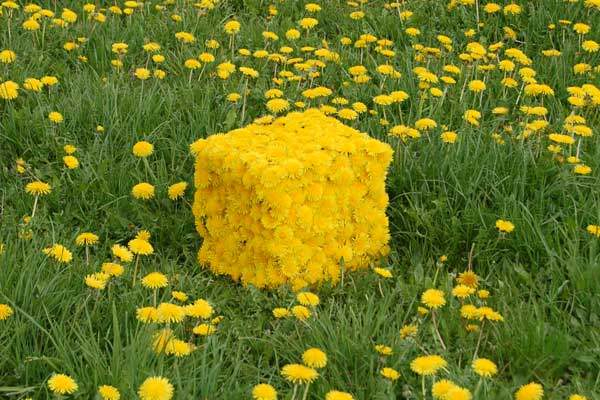 Land Art