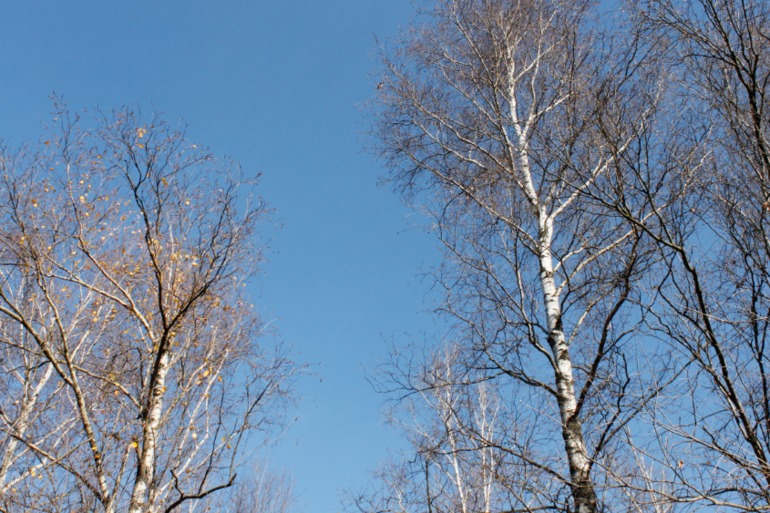 Последние тёплые деньки этой осени