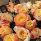 Кети Котовна