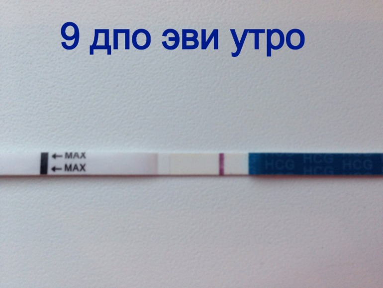 9 дпо тесты утро .