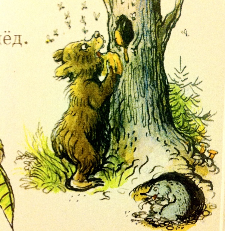 Книжки игрушки-картонки. 1 год и 5 месяцев.