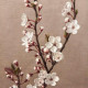 Elena S.