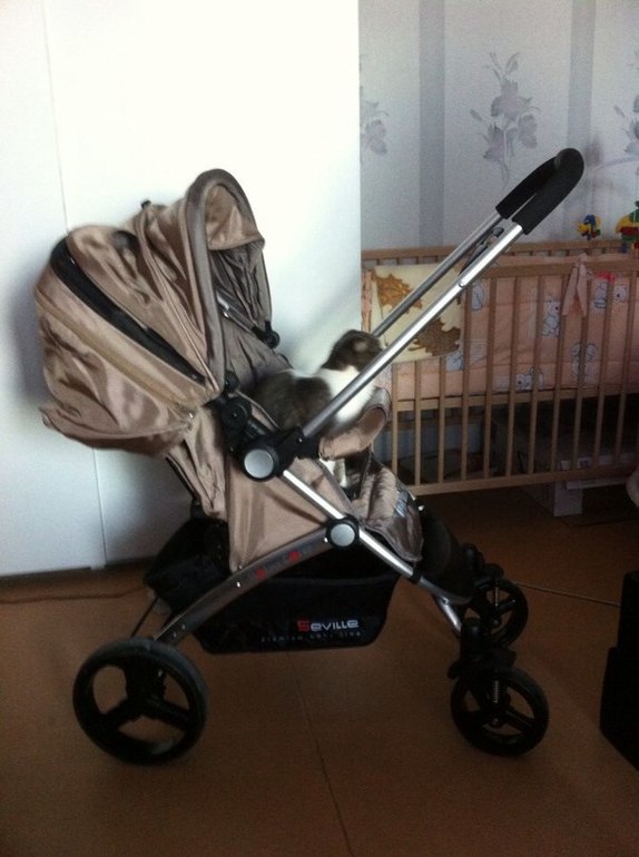 Baby Care Seville обзор