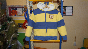 костюм спортивный утепленный