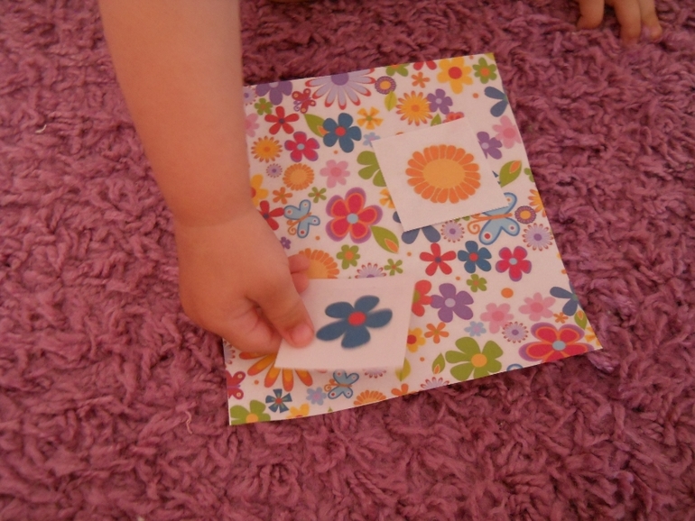 Шичида