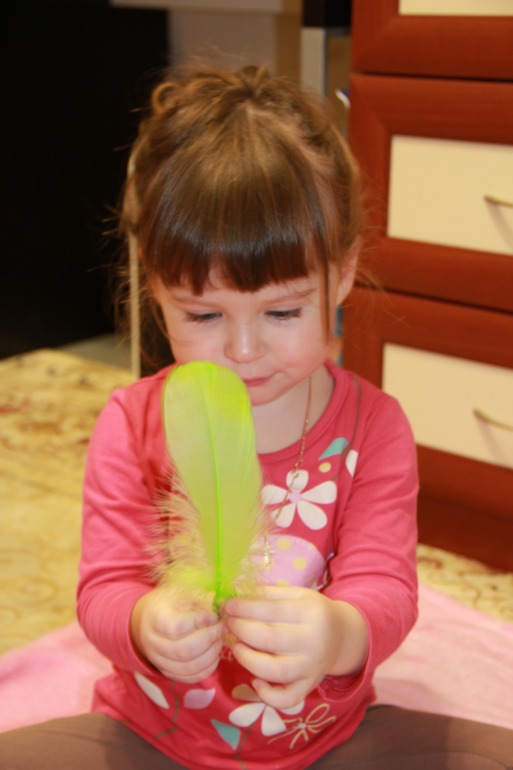 1153c3d00939be57120f8af6bfe12d5a.jpg