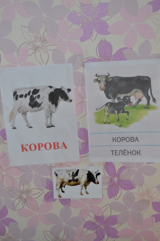 Отчет ТЗ Корова