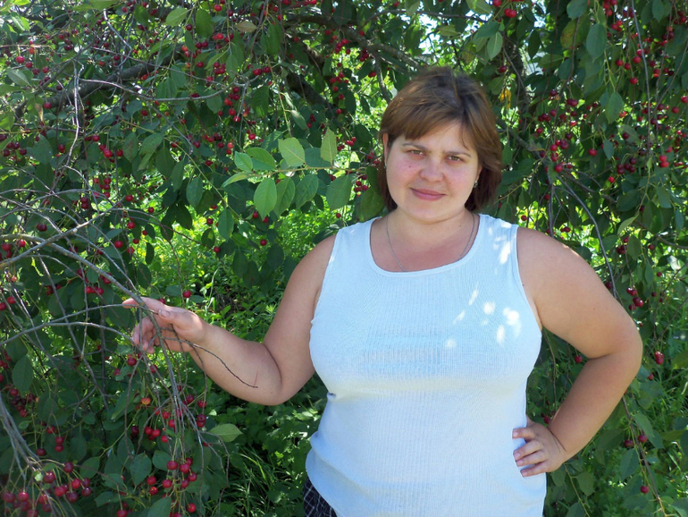 the cherry orchard