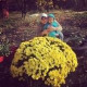 Ангелина Попова