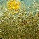 Катерина Марецкая