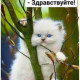 Мама Оля