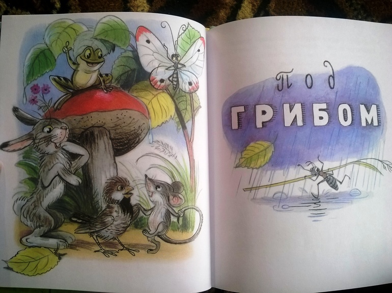 Наше книжное пополнение