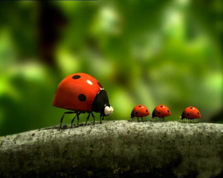 Minuscule - мультфильмы для умиротворения)