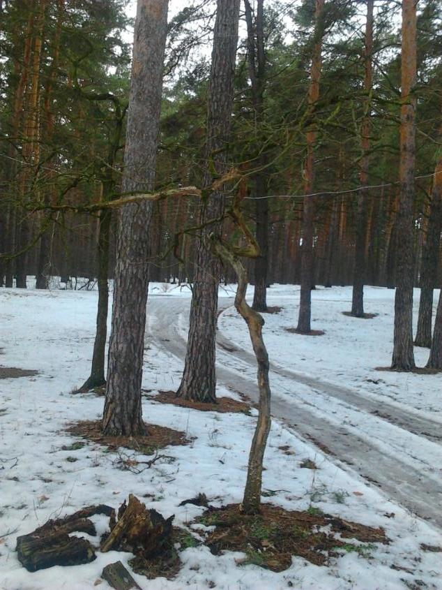 День 24