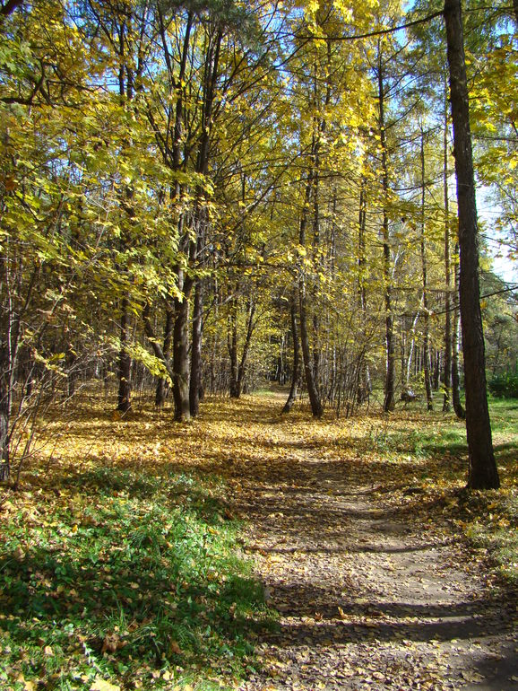 Осень