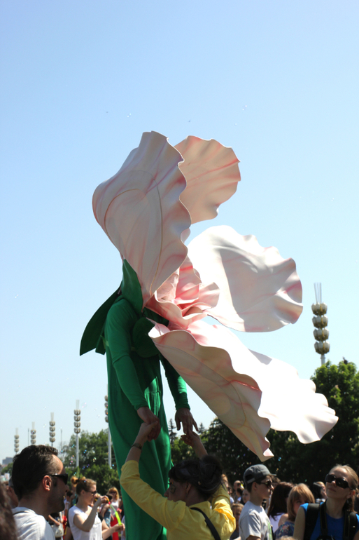 Dreamflash 2014