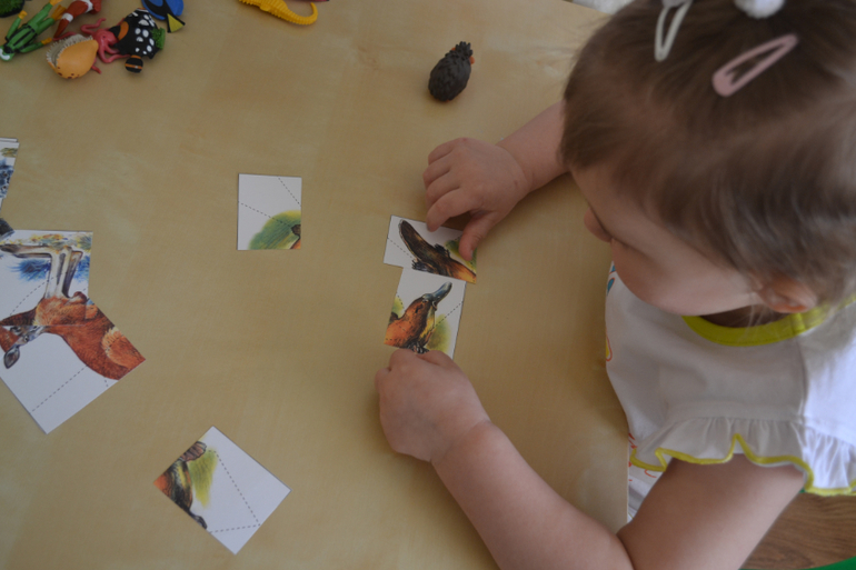 ee8c915b81407daf1de2620f13f3897f.jpg