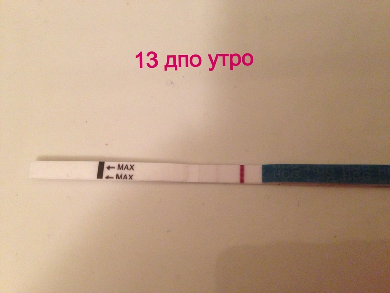 13 дпо утро тест )))