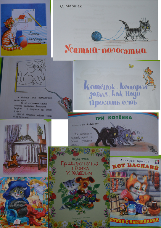 ТН Коты и кошечки