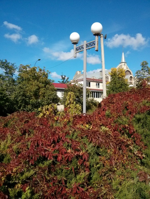 Нескучная осень