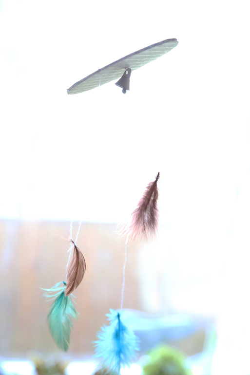 8b7453f4832c94cc1c88f80eecb2cb01.jpg