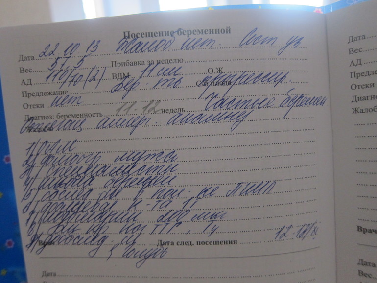 13 недель