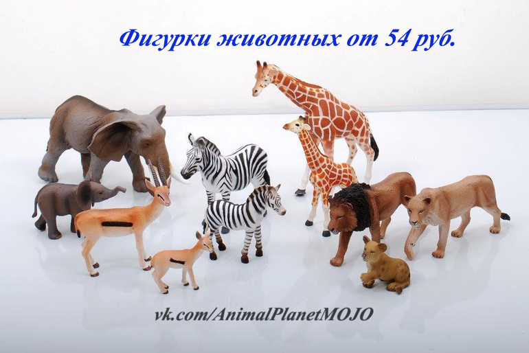 Фото Коллекции Коллекции Животных