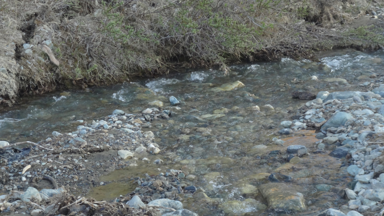 мы были в мечте-делюсь-ТЫДТУЯРЫК