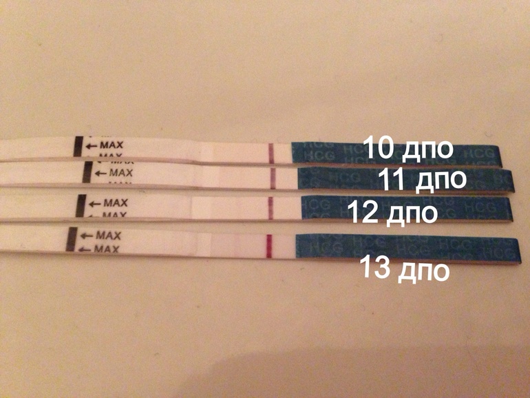 13 дпо утро тест )))