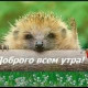 Ната