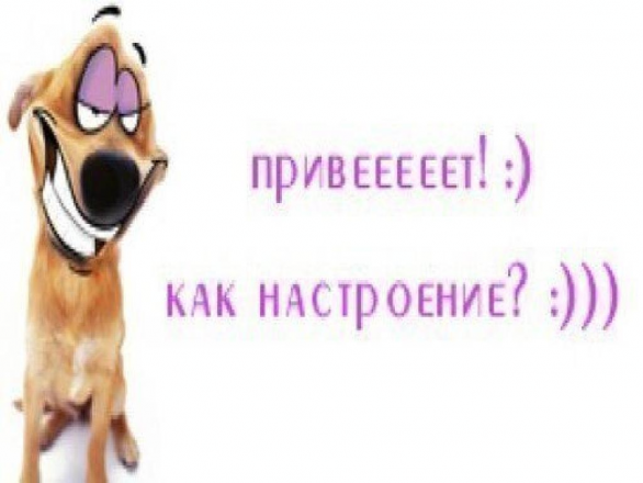ПРИВЕТ!!!