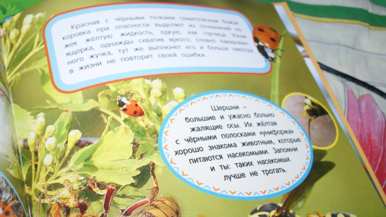 ПреКРАСНЫЙ праздник маленькой божьей коровки))