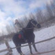 Наталья Гущина