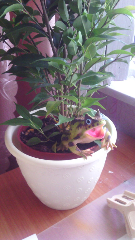 Мои помощники)))