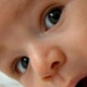 linaa