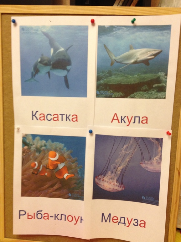 ТН