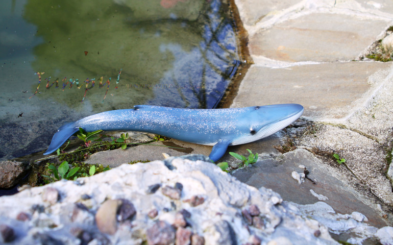 Морские животные от Schleich.