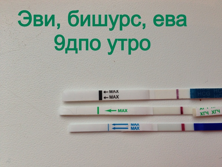 9 дпо тесты утро .