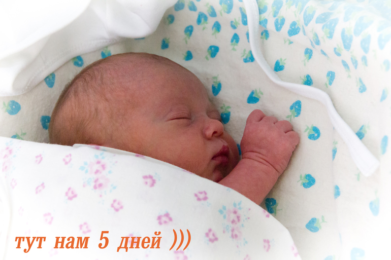 Наши роды