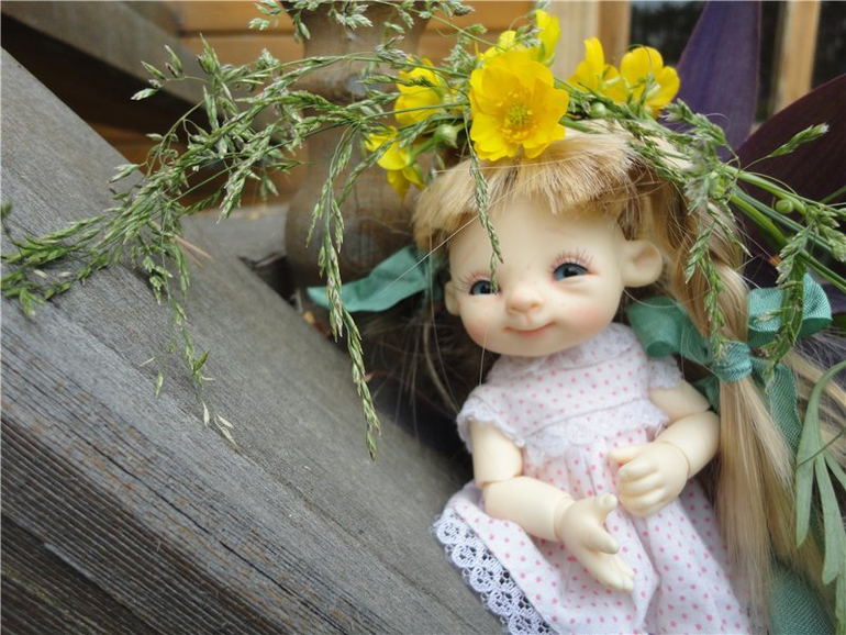 Куклы  BJD