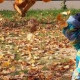 Ольга Валентиновна