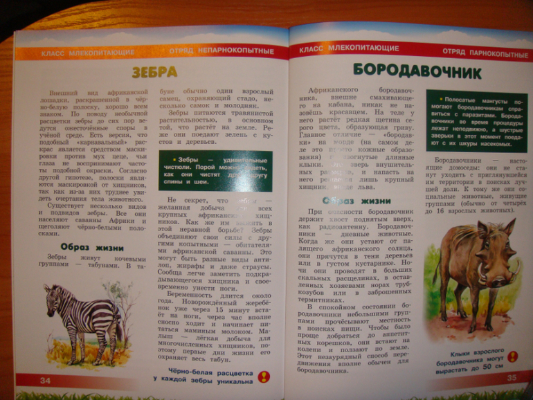 2dcdea457d7ce10cac0c27c0a8d68be6.jpg