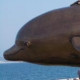 Таня