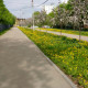 nargisnorova8