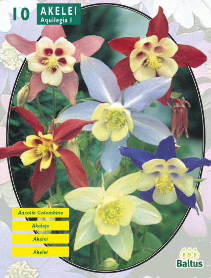 Аквилегия Akelei Mix 10 шт.