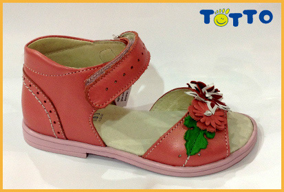 Тотто-профилактическая ортопедия