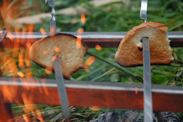 Одноночный многодетный поход